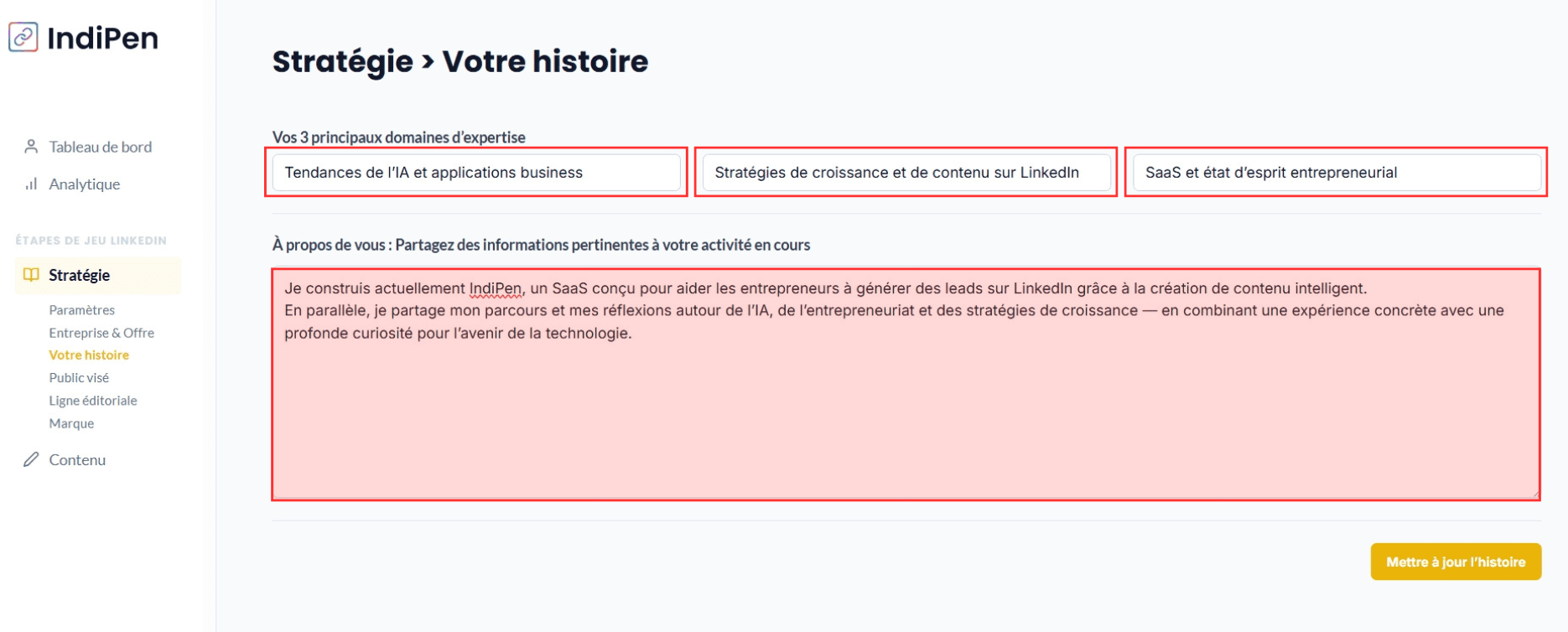 Description de l'interface d’IndiPen : décris tes trois principaux domaines d’expertise et raconte ton parcours personnel.