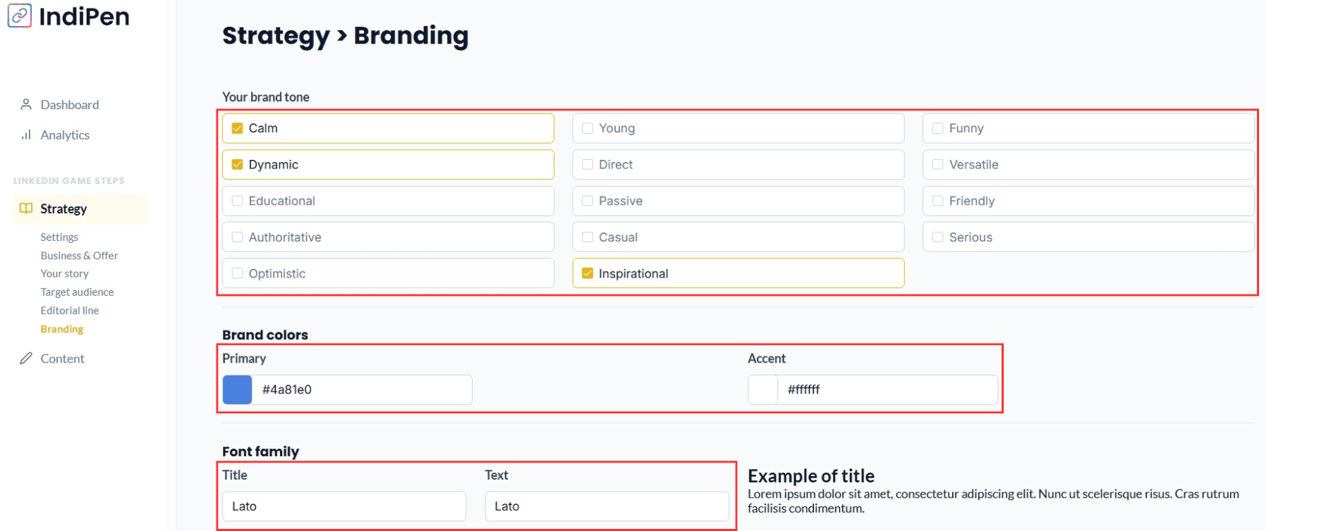Description of IndiPen’s interface: define your brand tone, visual identity, and font.