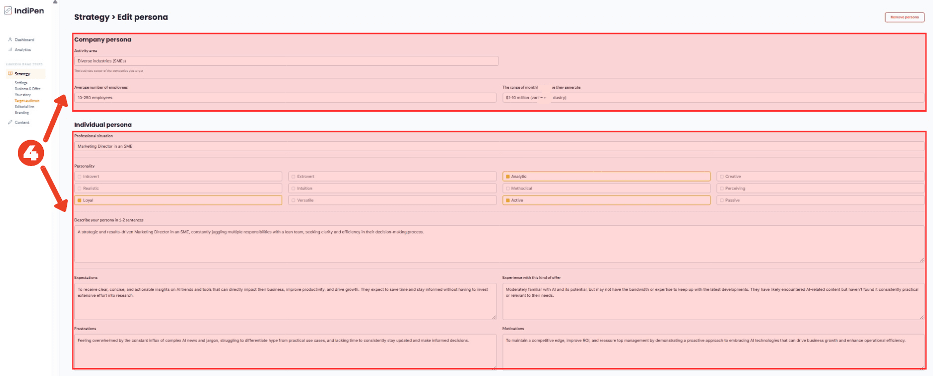Description of IndiPen’s interface: review the entire persona profile, including the company type and decision-maker.
